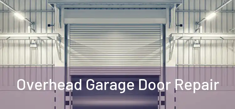  Overhead Garage Door Repair 